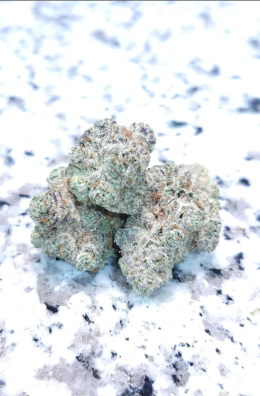 Frosted Afghani Blueberries - (3 Seeds = 40$ - 5 Seeds = 60$)