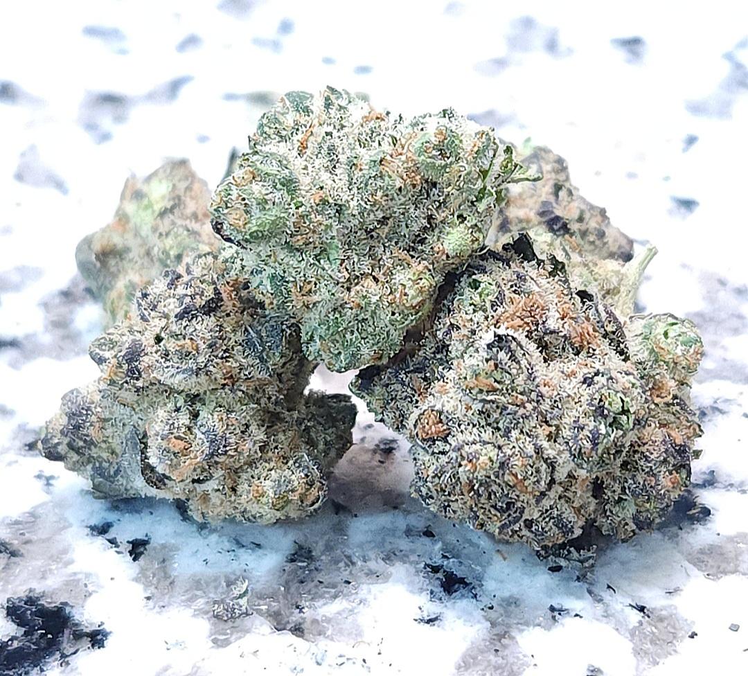 Black Ice (3 Seeds = 40$ - 5 Seeds = 60$)