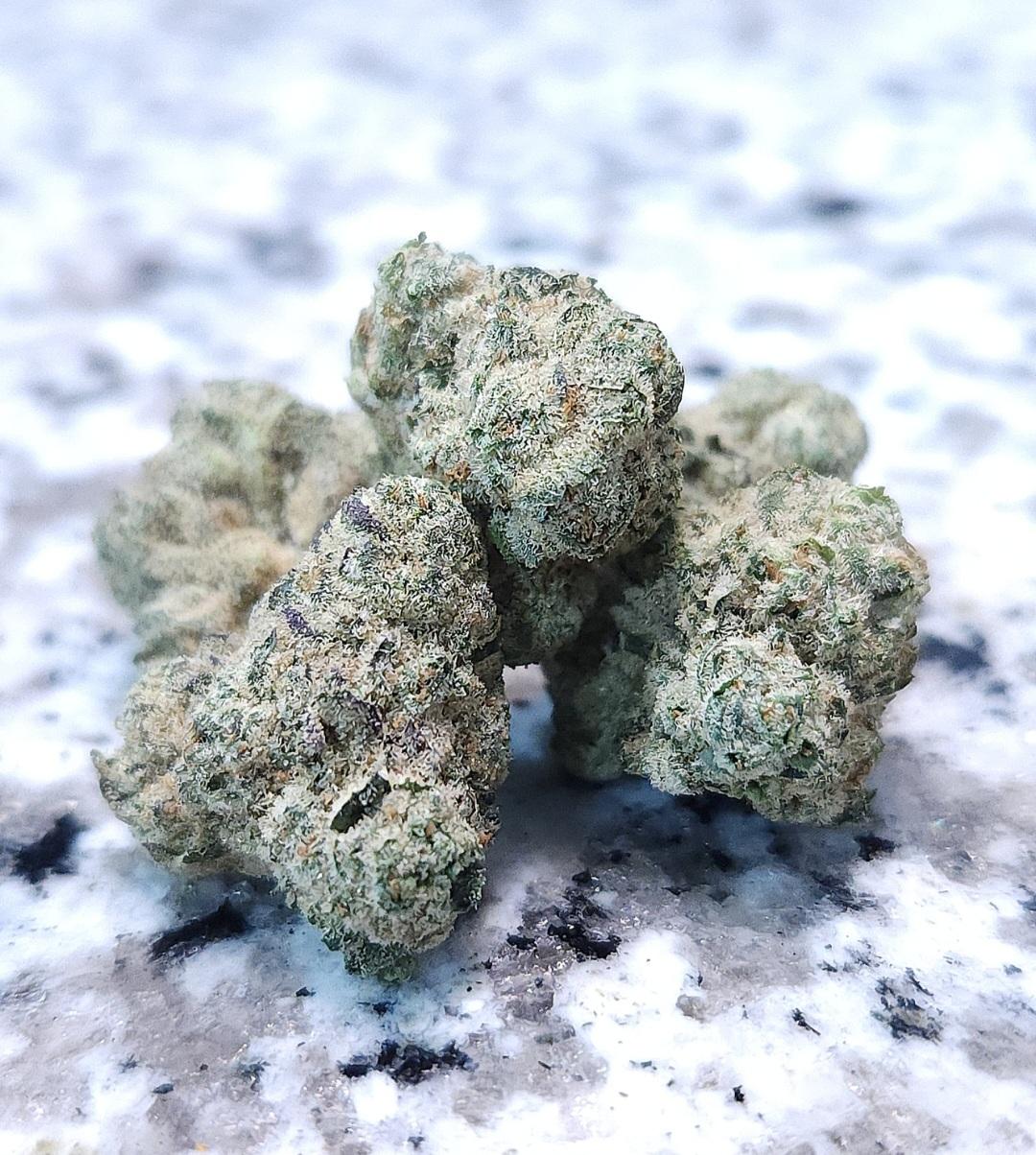 Winter Wonderland - (3Seeds = 40 - 5Seeds = 60)
