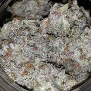 Fem - Afghan Cherries - (3 Seed = 30$ - 5 Seed = 50$)